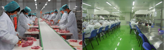 企業(yè)名錄食品公司,食品應用臭氧發(fā)生器